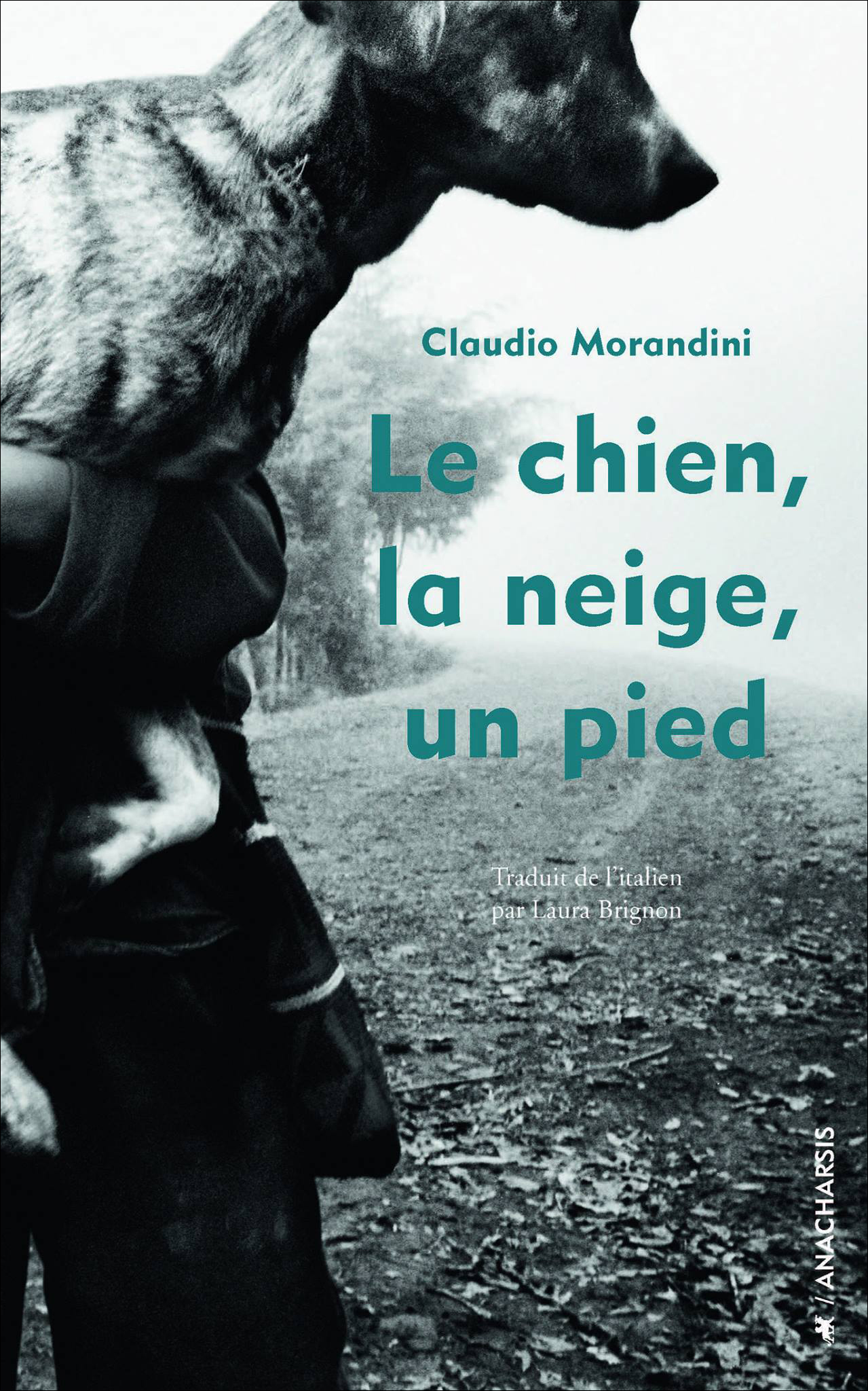 Neve, cane, piede - immagine 2