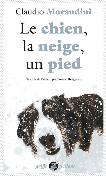Neve, cane, piede - immagine 6