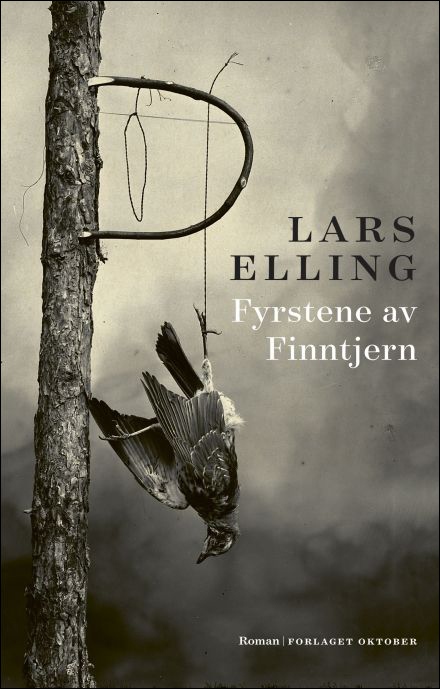 I principi dello stagno Finn - immagine 2